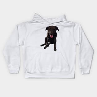 Chocolate Lab Puppy Kids Hoodie